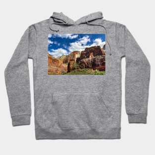 Zion National Park Hoodie